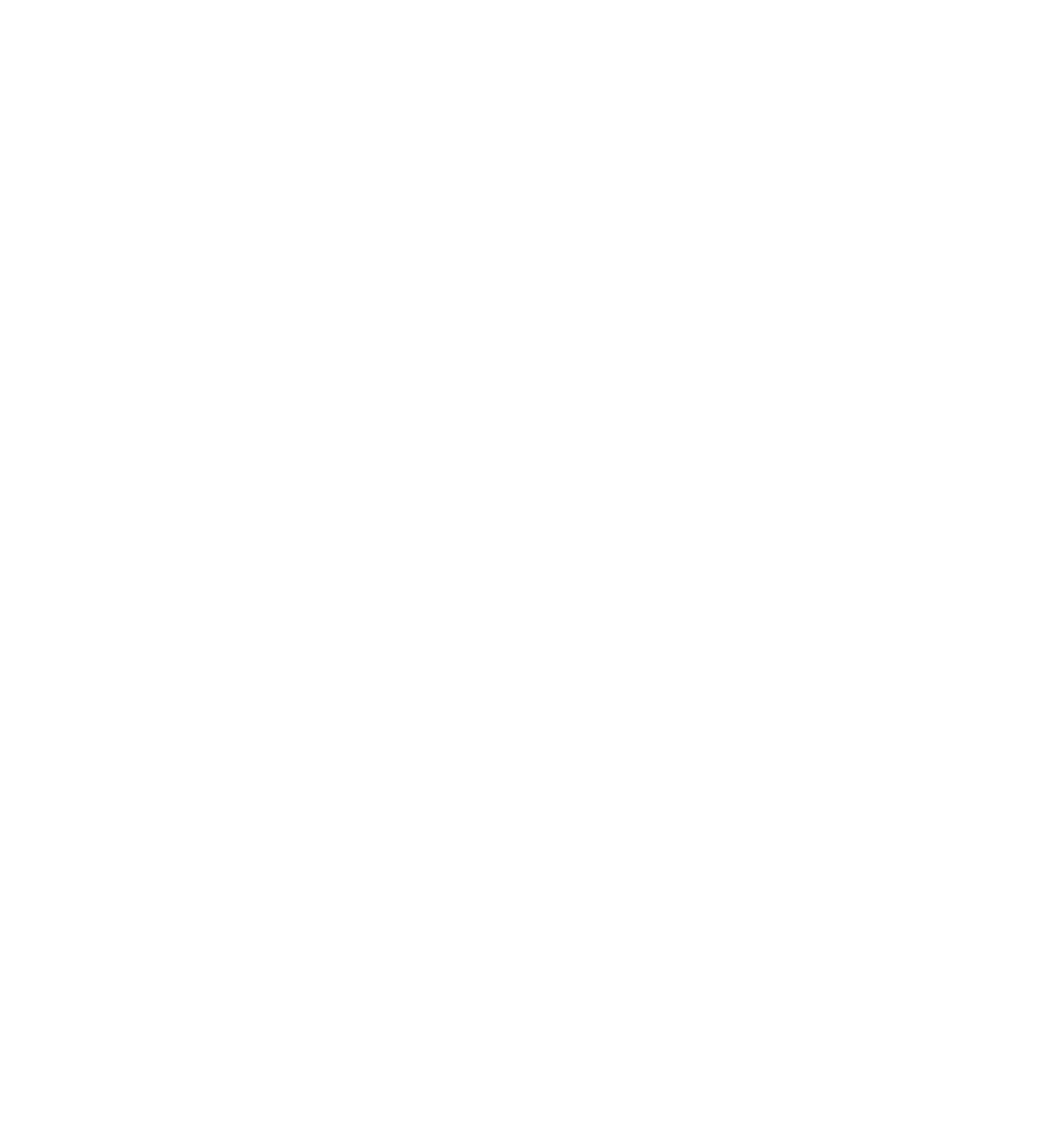 HolyBird